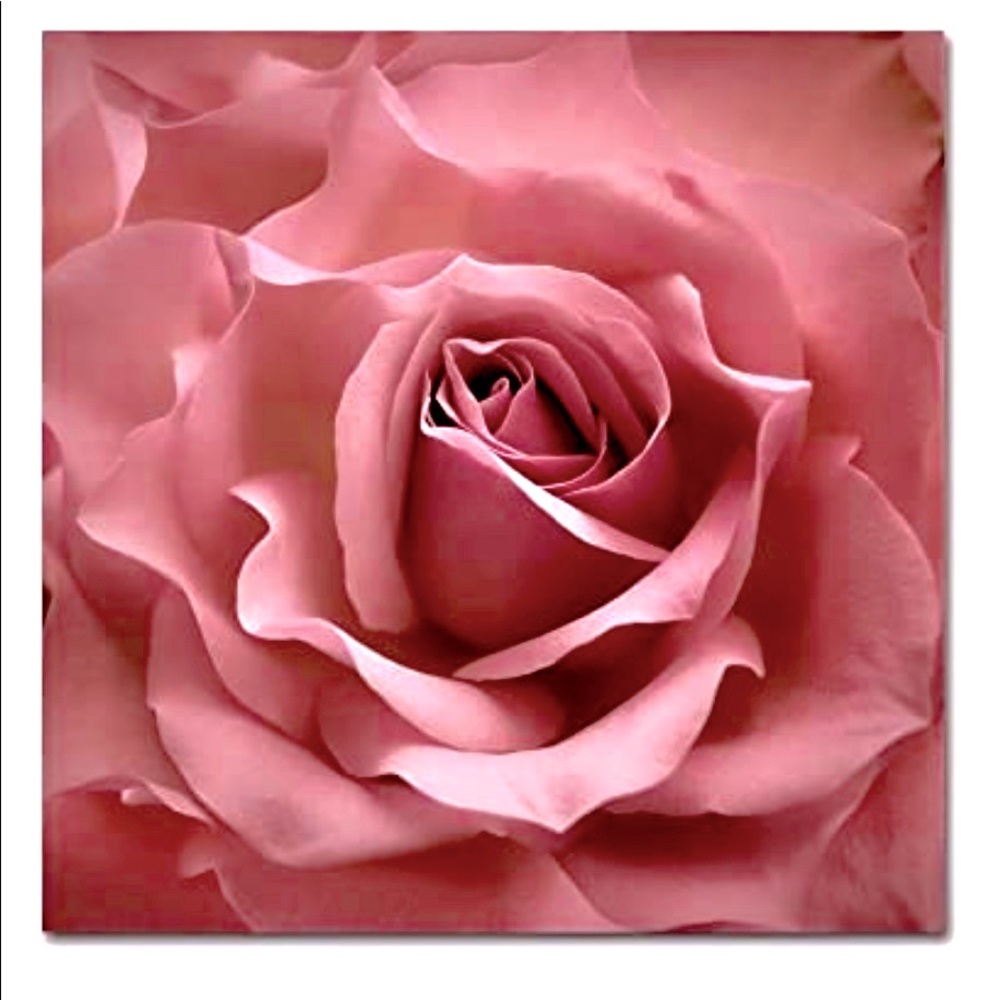 Meet your Posher, J.anne